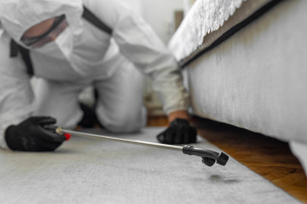 Professional Termite Control technician working in Edgewood, OH