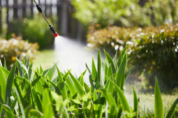 24/7 Emergency Termite Control experts in Edgewood, OH